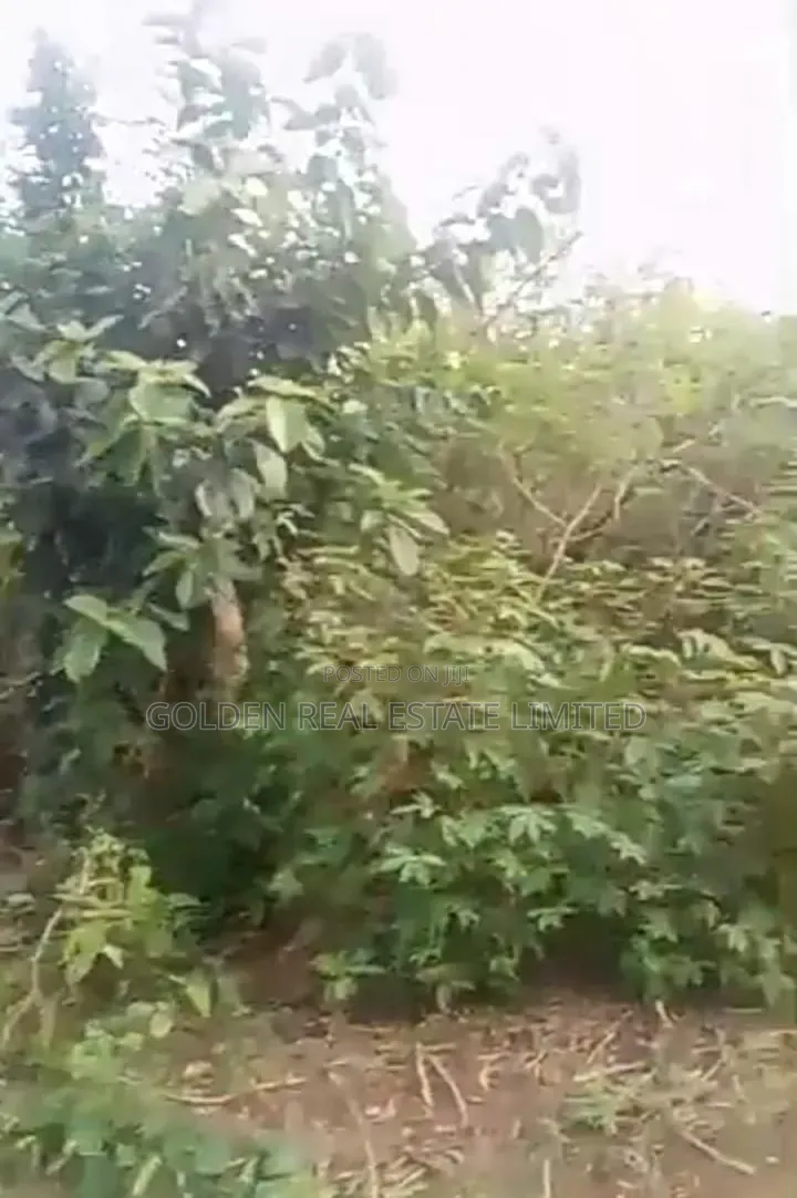 Obasanjo Estate, After Atlas Opposite Shasha, Ado Ekiti in Ado Ekiti