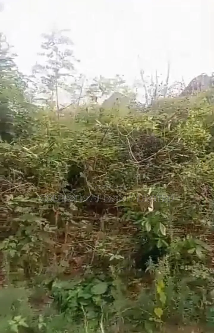 Obasanjo Estate, After Atlas Opposite Shasha, Ado Ekiti in Ado Ekiti