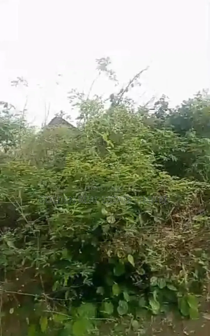 Obasanjo Estate, After Atlas Opposite Shasha, Ado Ekiti in Ado Ekiti