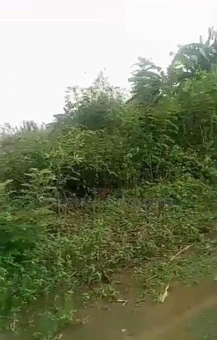 Obasanjo Estate, After Atlas Opposite Shasha, Ado Ekiti in Ado Ekiti