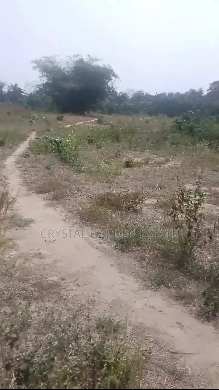 50x100sq'meter:Land for Sale at Obingwa Abia State. in Obi Ngwa