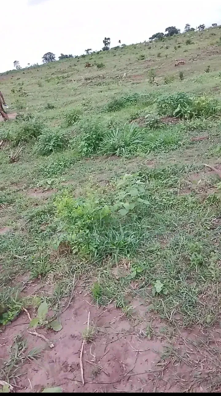 50x100sq'meter:Land for Sale at Umuna Village Anaku Ayameum Lga. in Anambra West