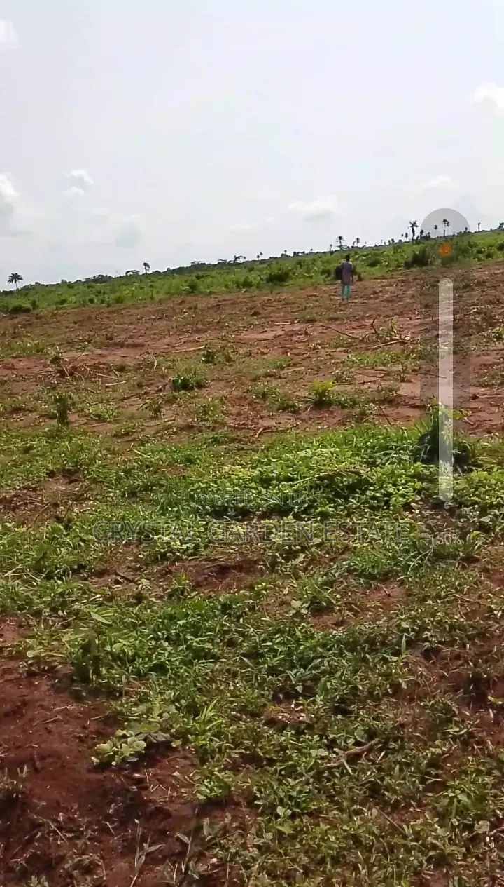 50x100sq'meter:Land for Sale at Ibusa in Oshimili North