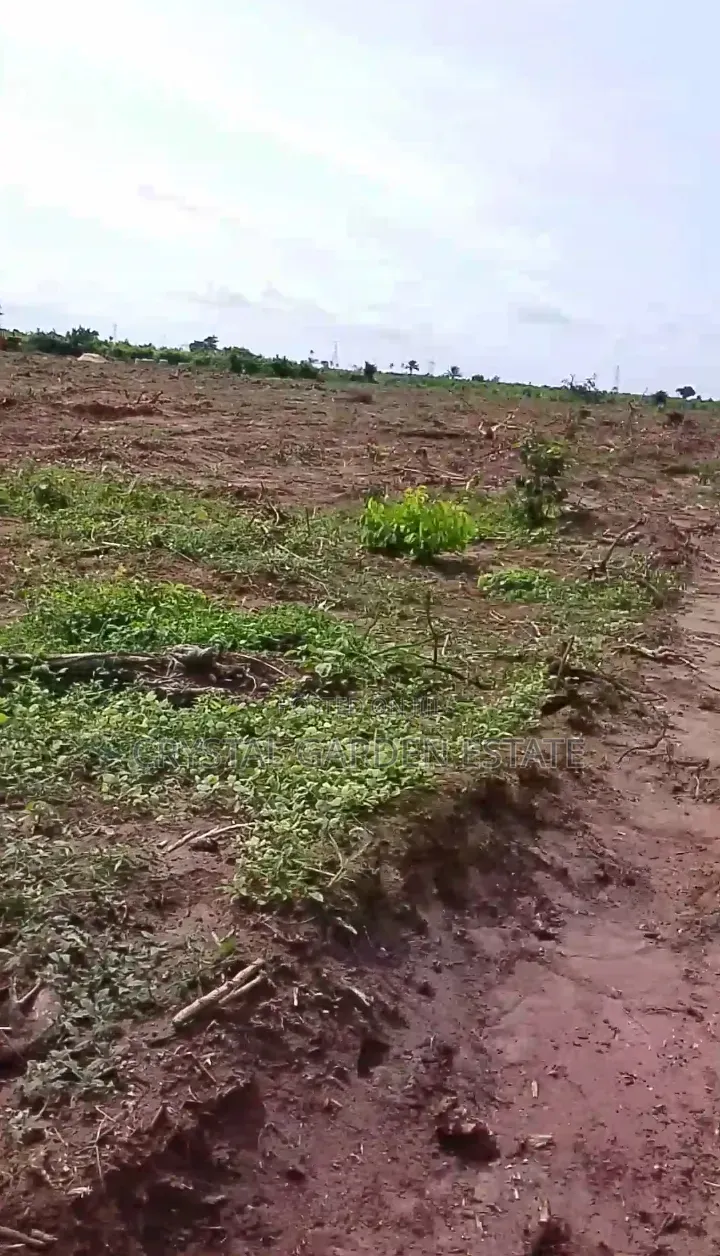 50x100sq'meter:Land for Sale at Ibusa in Oshimili North