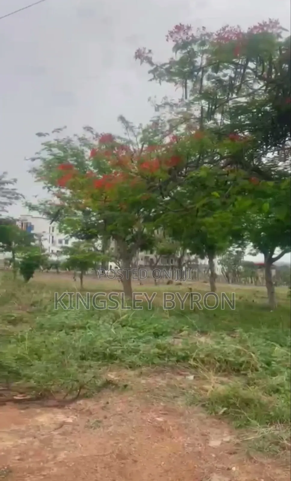 New Listing: Kukwaba 2.9 Hectares (C of O) in Wuye