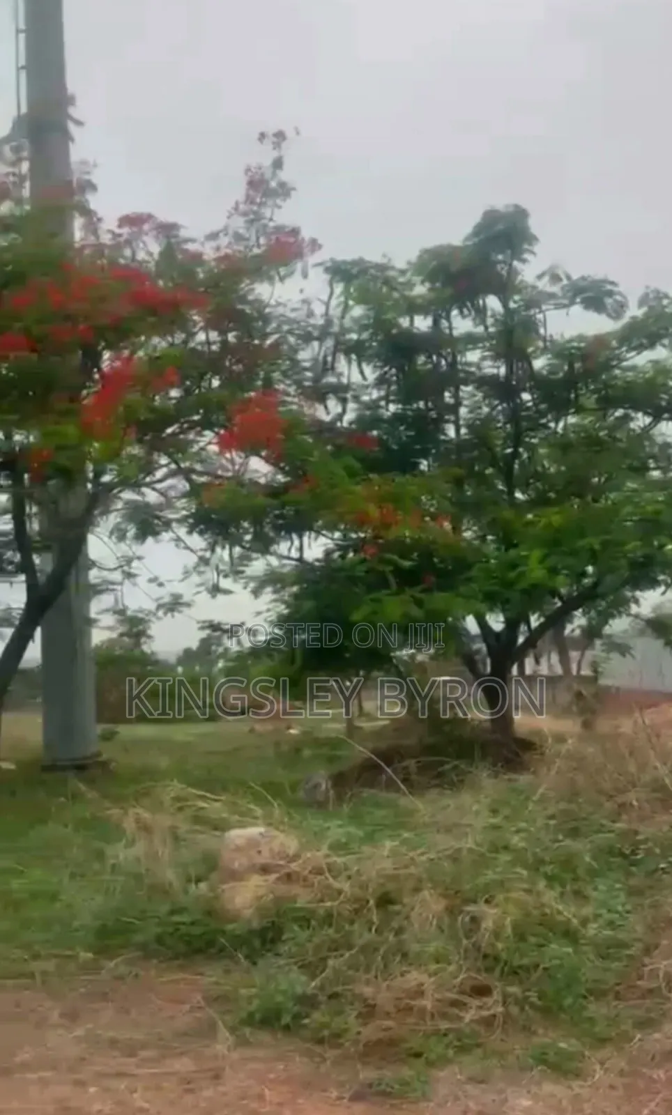 New Listing: Kukwaba 2.9 Hectares (C of O) in Wuye