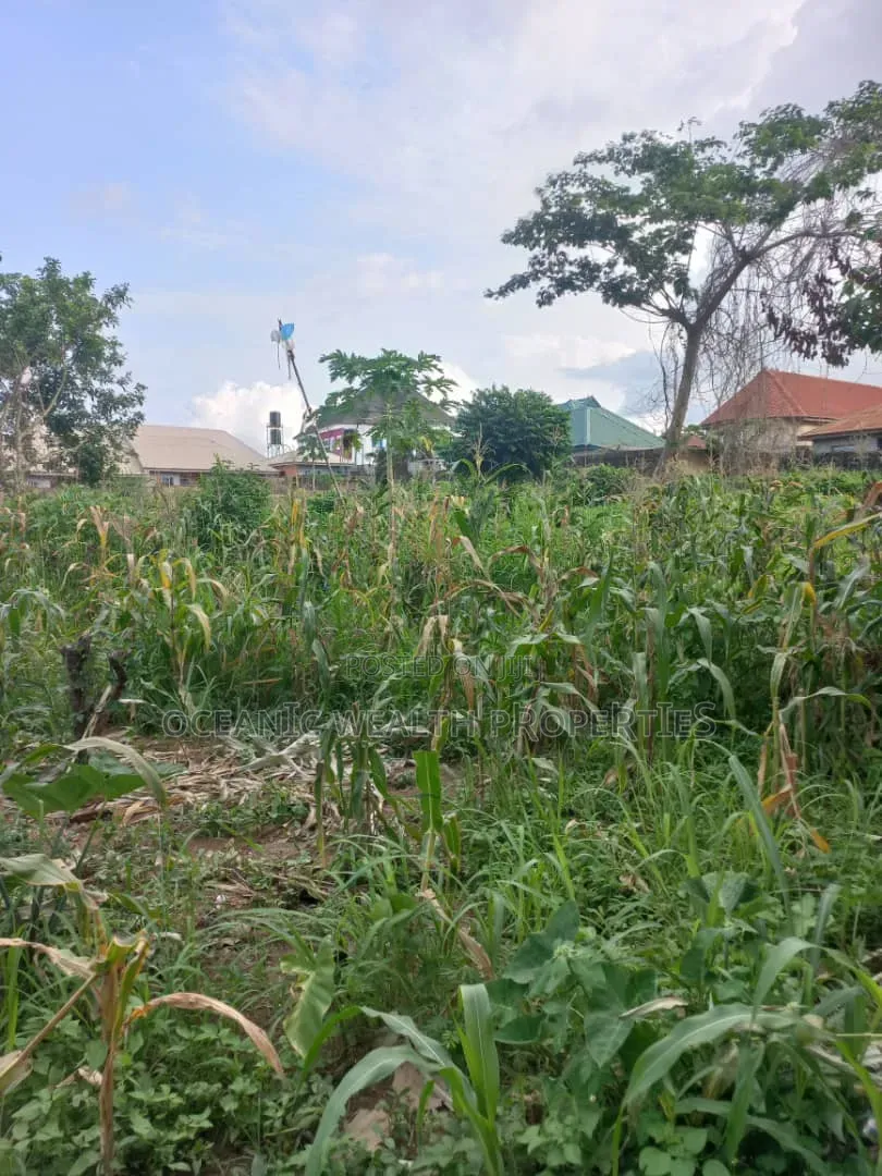 2 Plots of Land at Elewuro Off Akobo in Ibadan