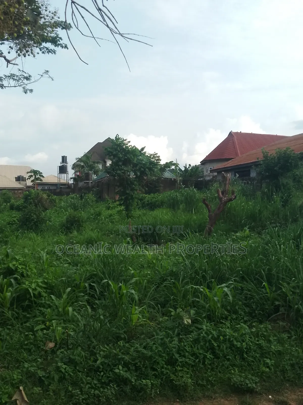 2 Plots of Land at Elewuro Off Akobo in Ibadan