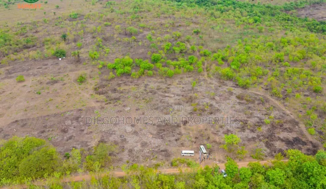 Affordable Plantain Farm Land for Sale in Abeokuta Ogun State in Odeda