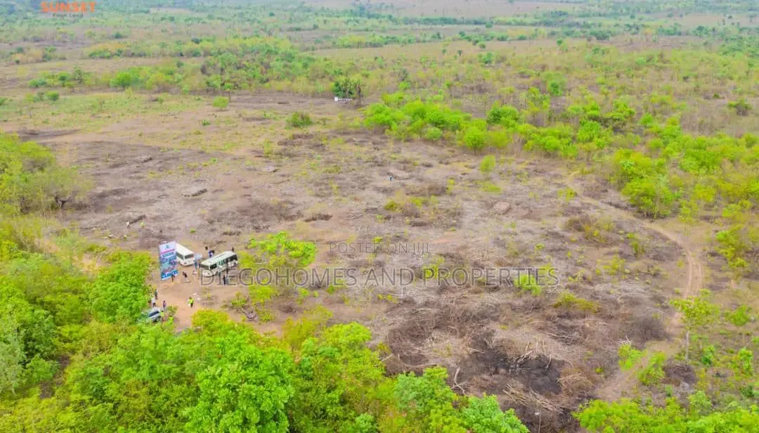 Affordable Plantain Farm Land for Sale in Abeokuta Ogun State in Odeda