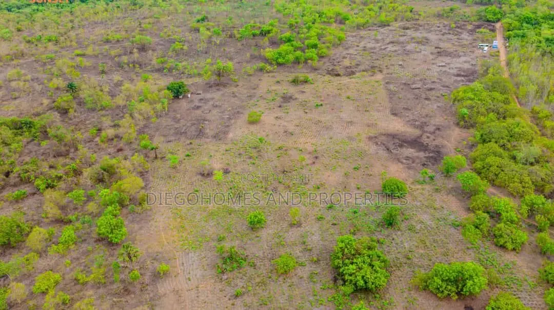 Affordable Plantain Farm Land for Sale in Abeokuta Ogun State in Odeda