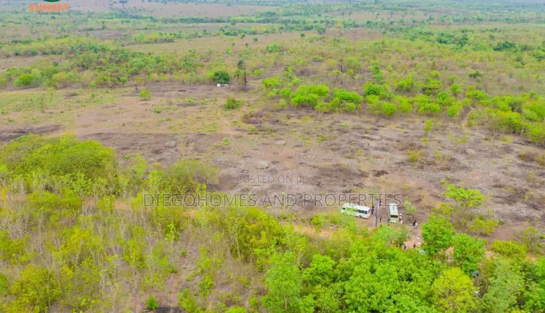 Affordable Plantain Farm Land for Sale in Abeokuta Ogun State in Odeda