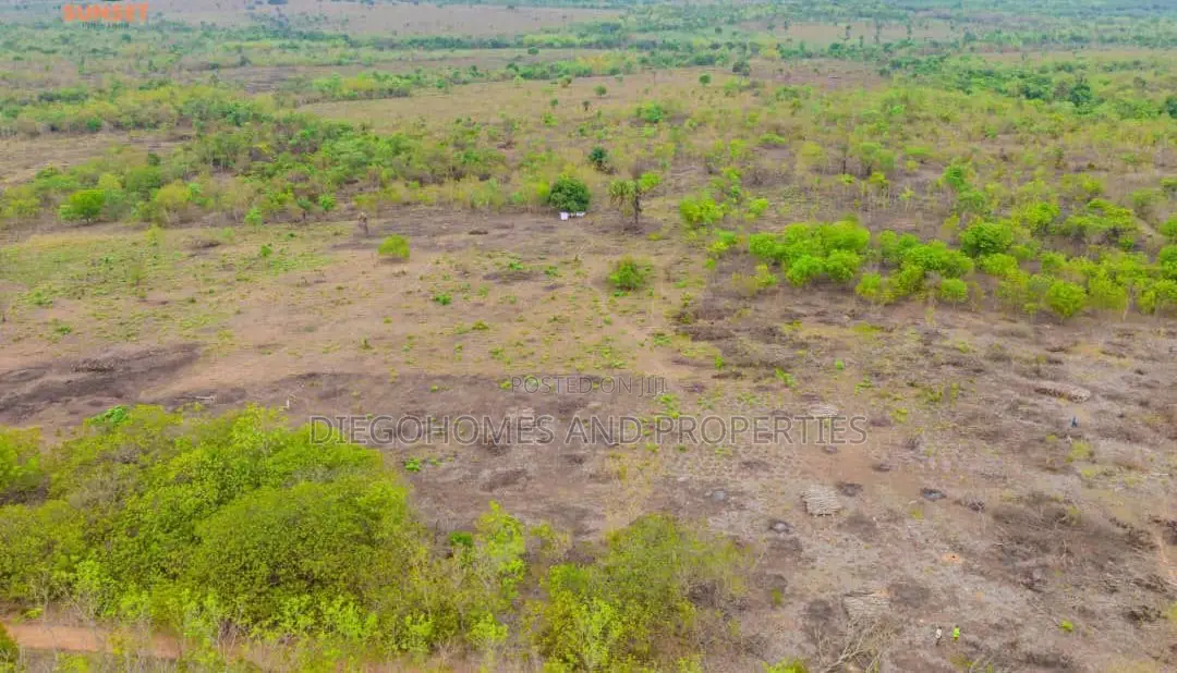 Affordable Plantain Farm Land for Sale in Abeokuta Ogun State in Odeda