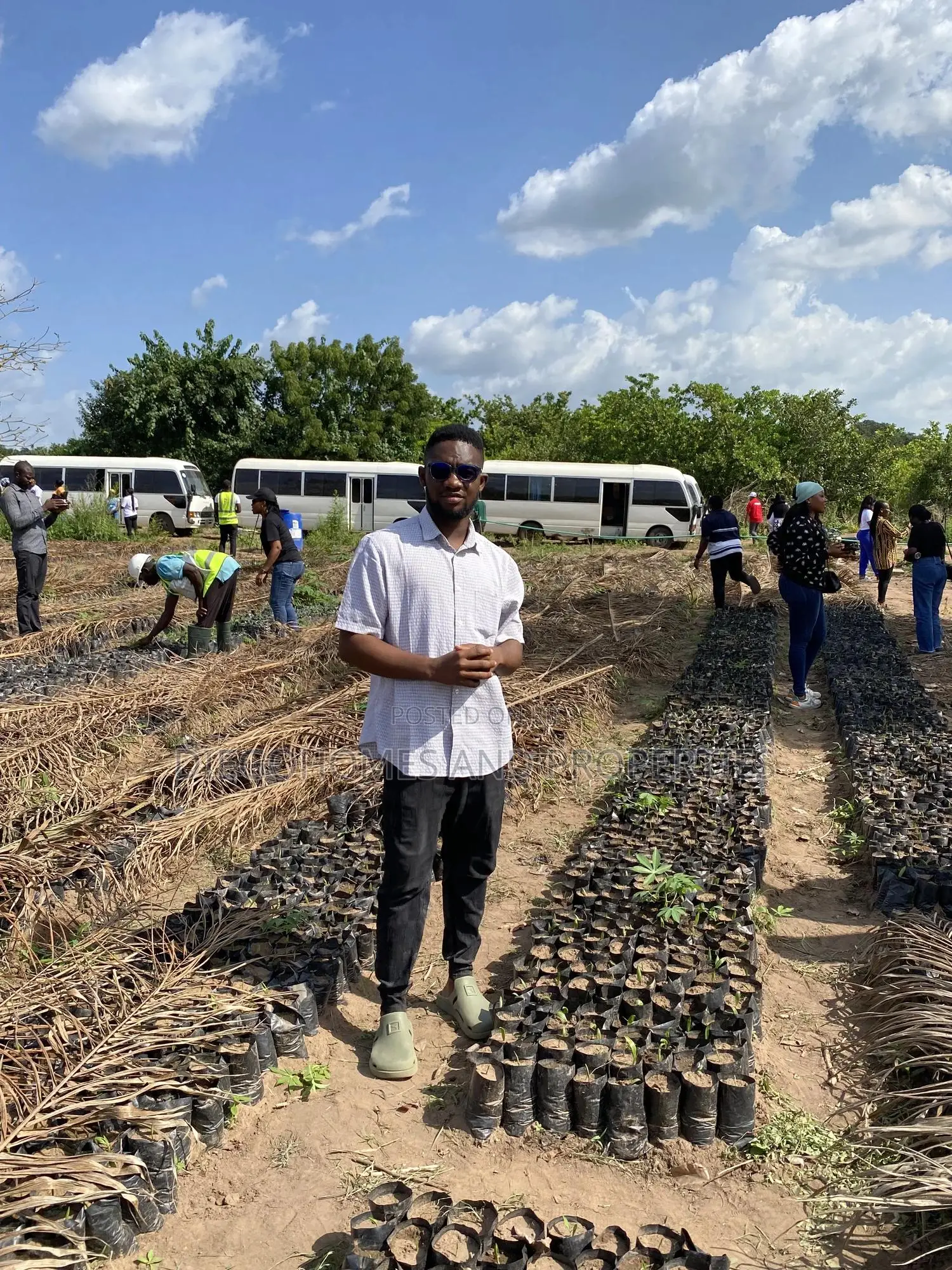 Own Acres of Palm Plantation Farmland |C of O | Iseyin Oyo in Iseyin