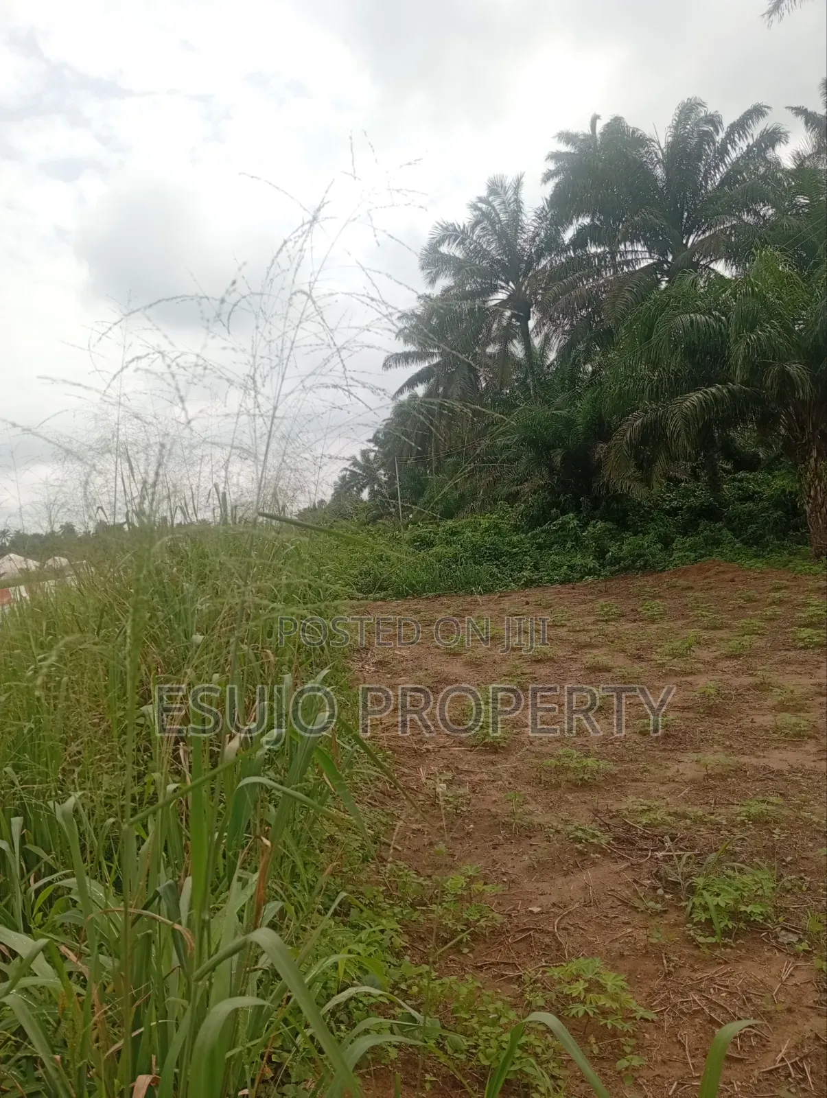 Land for Sale in Uyo