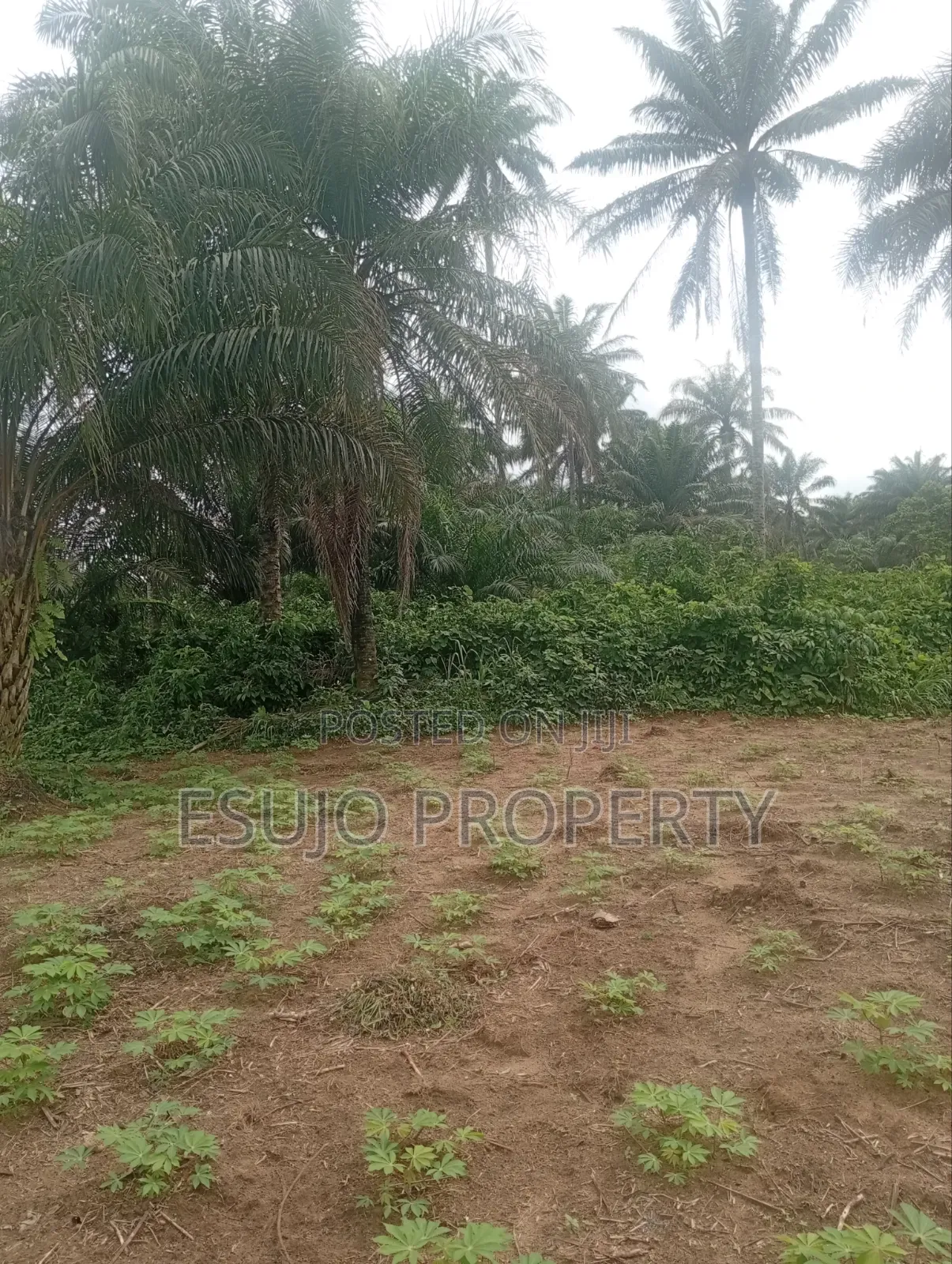 Land for Sale in Uyo
