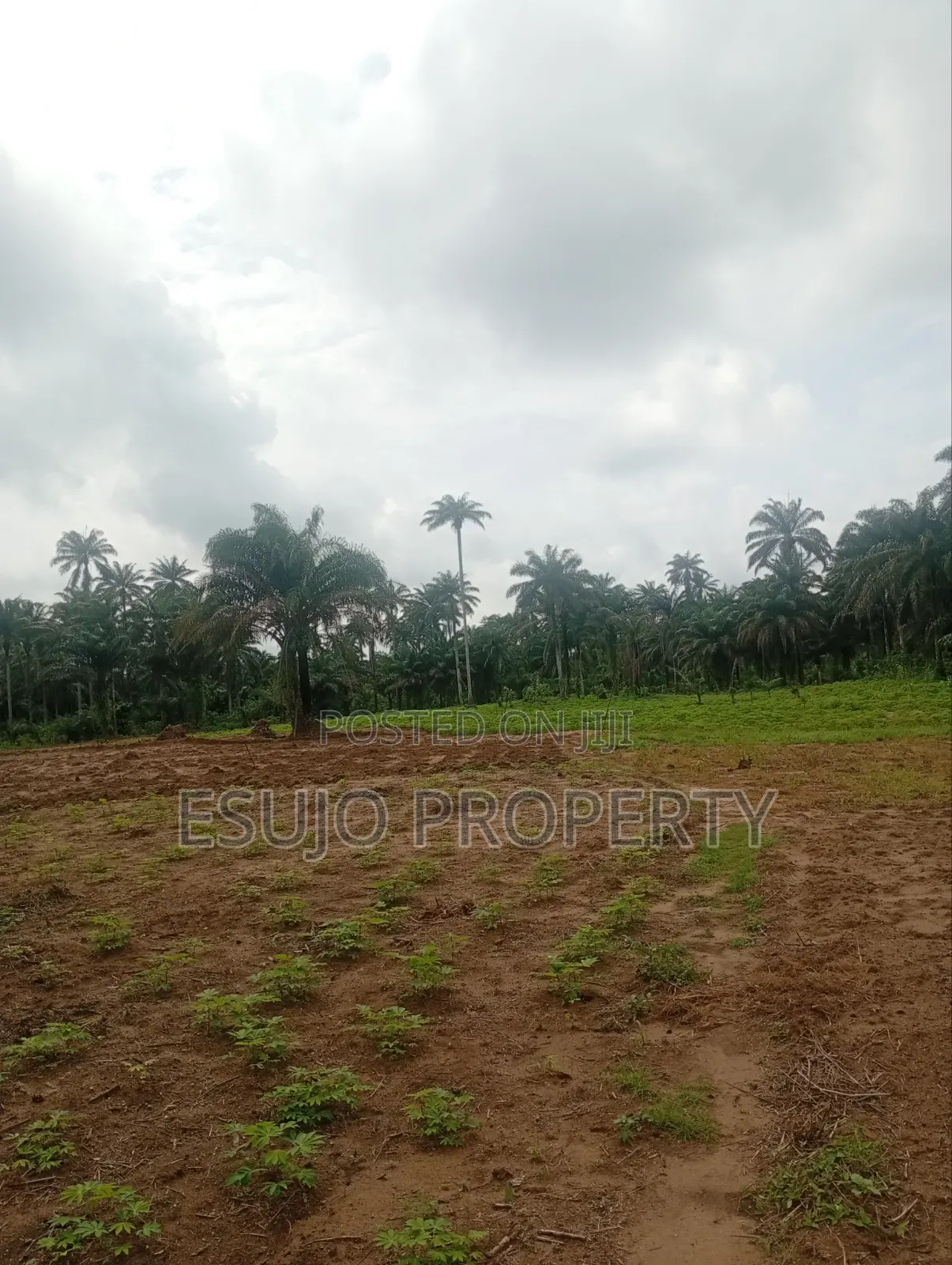Land for Sale in Uyo