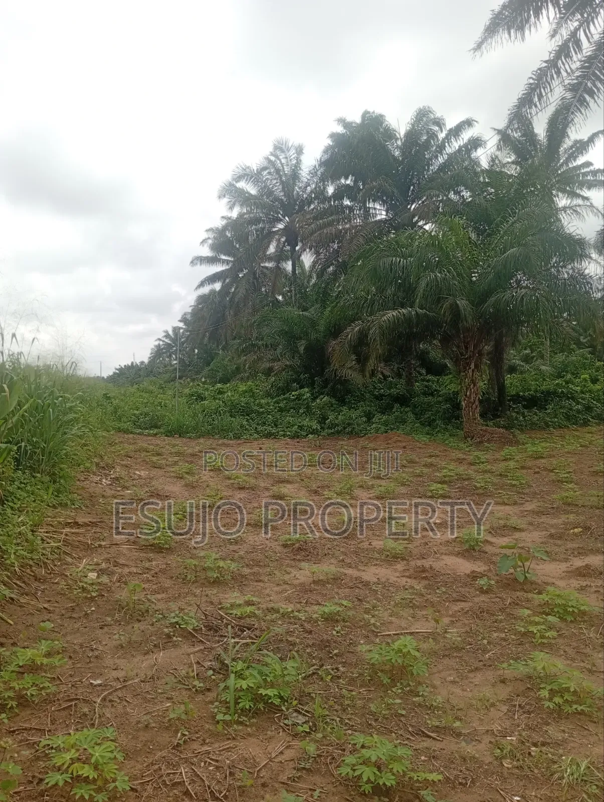Land for Sale in Uyo