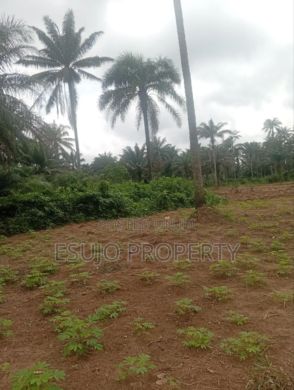 Land for Sale in Uyo