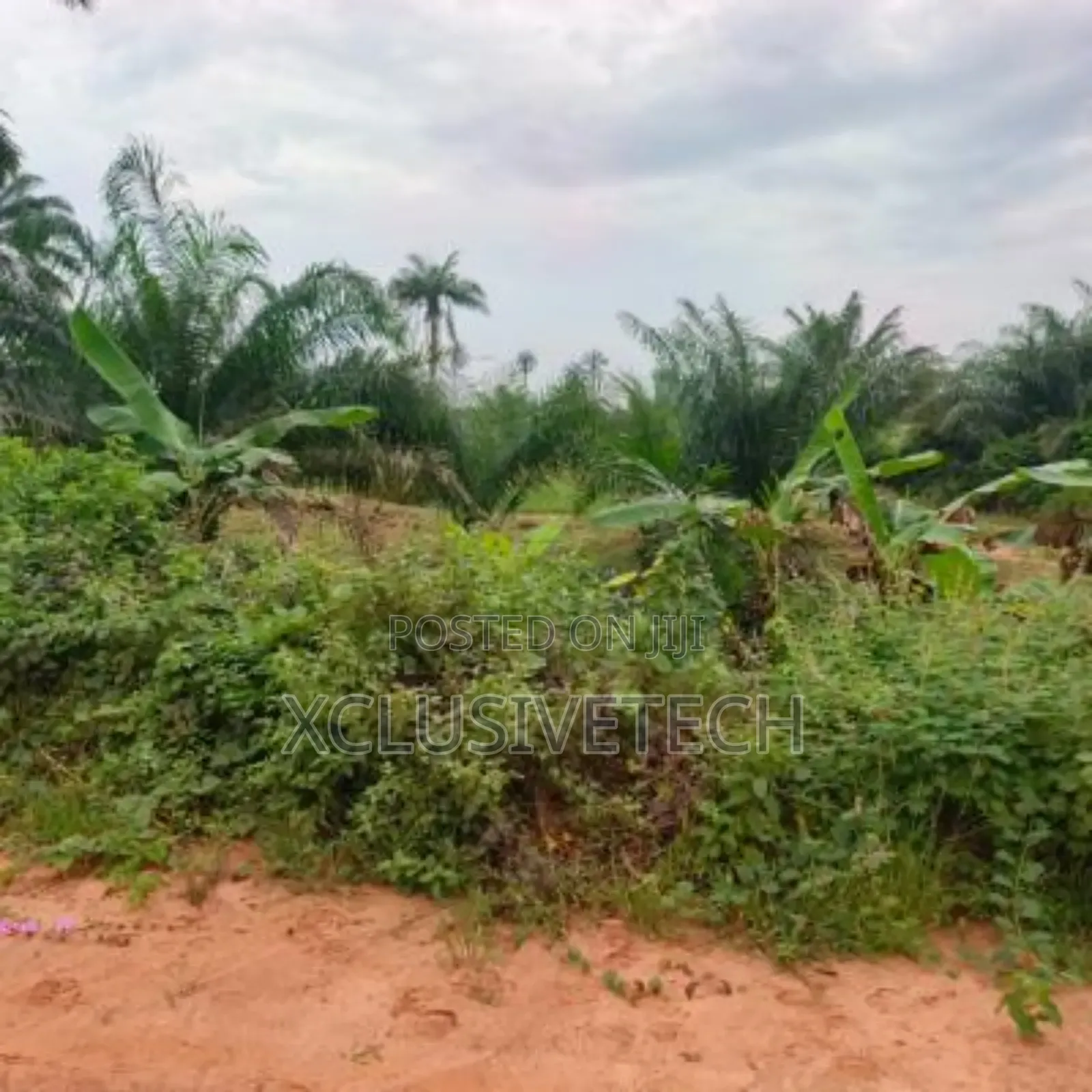 20 Acres of Farmland for Sale in Iseyin