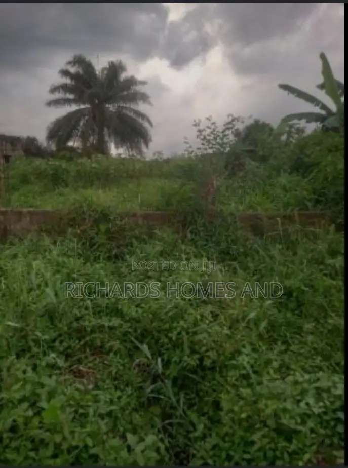 Land for Sale in Port Harcourt at Airport Road in Omagwa