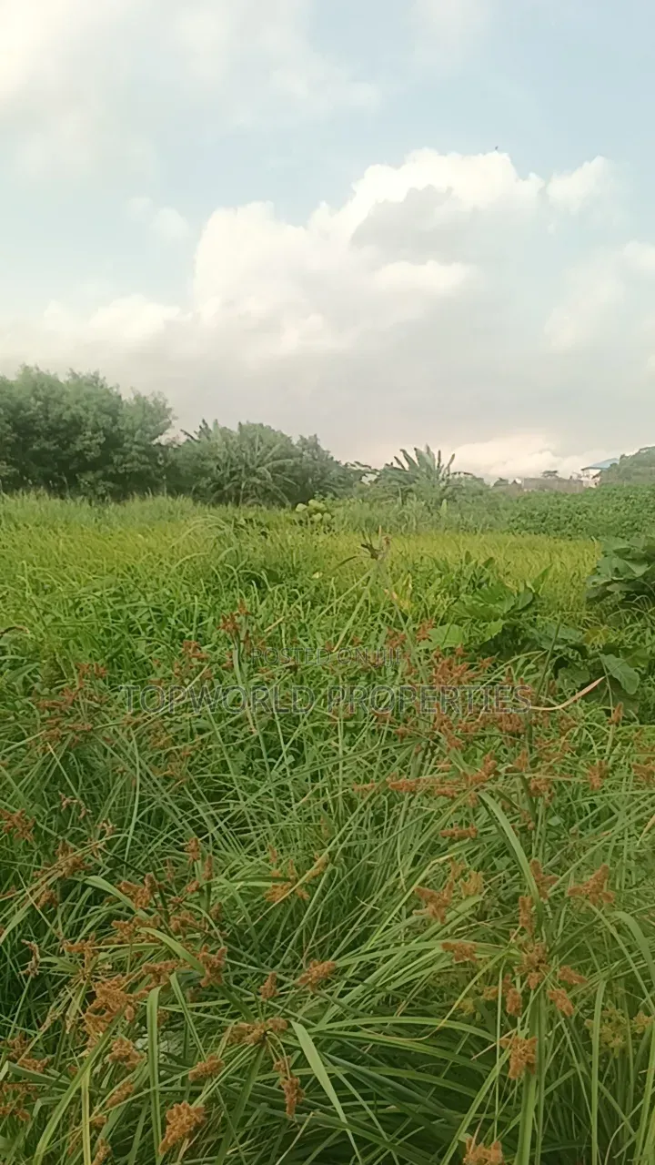 33 Plots Together at Agidingbi Alausa Ikeja in Agidingbi