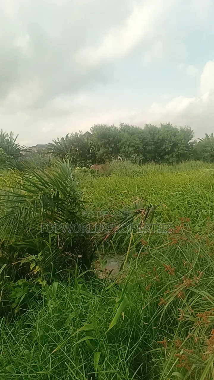 33 Plots Together at Agidingbi Alausa Ikeja in Agidingbi