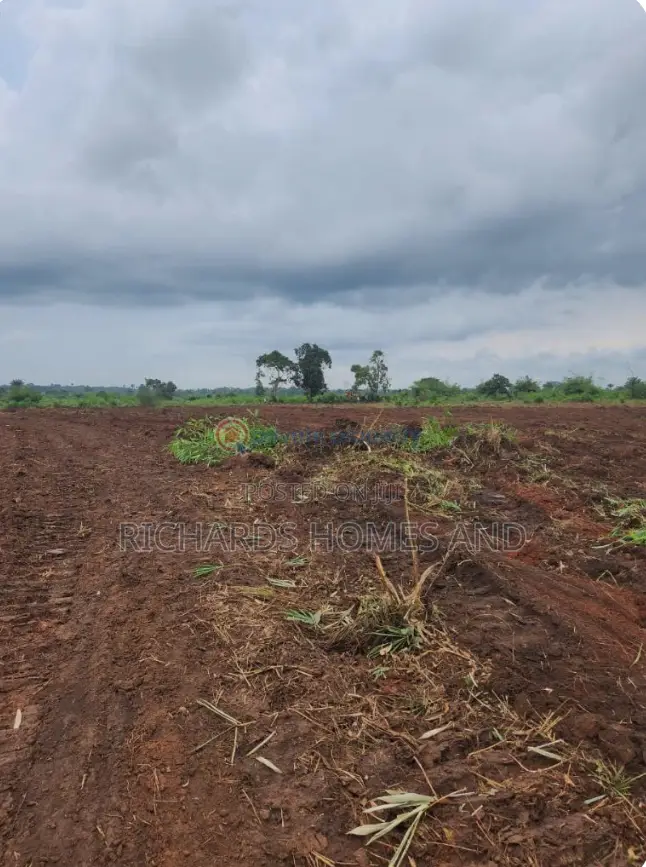 One Acre of Farmland for Sale in Ogun State in Obafemi-Owode