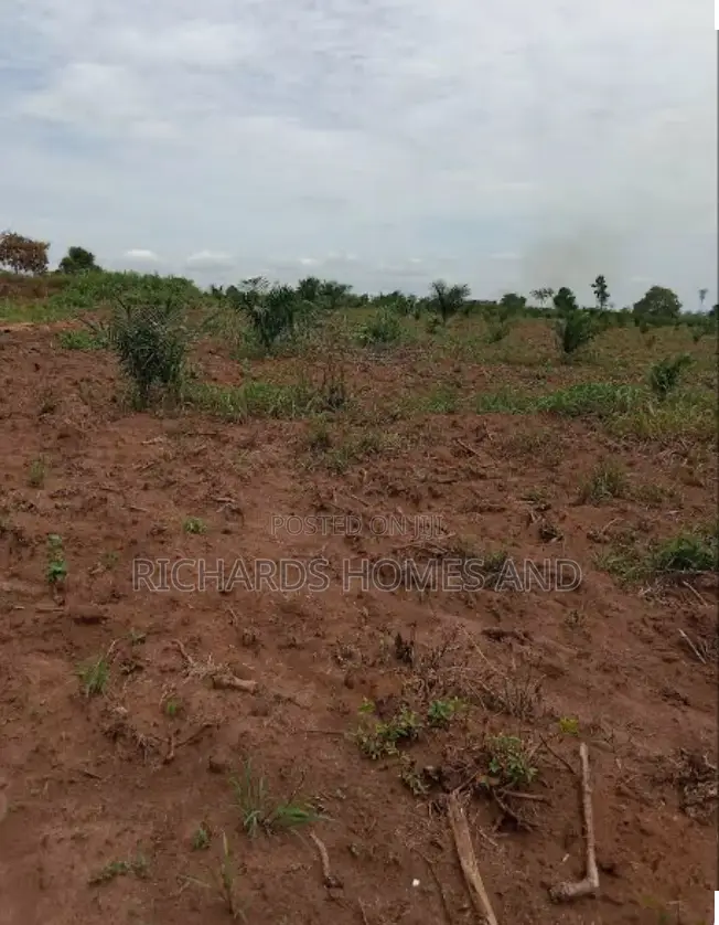 One Acre of Farmland for Sale in Ogun State in Obafemi-Owode