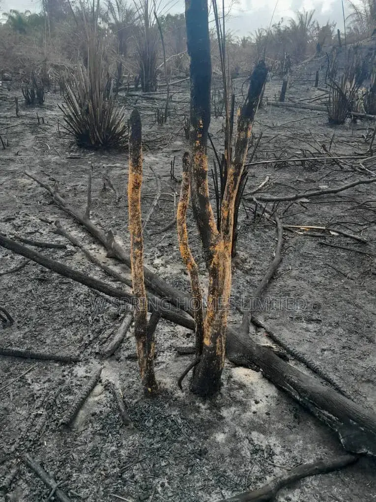 100% Dry Land St Eleko in Elerangbe