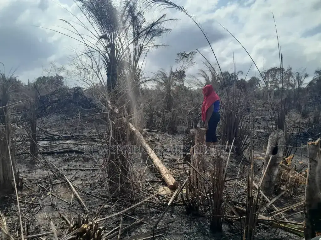 100% Dry Land St Eleko in Elerangbe