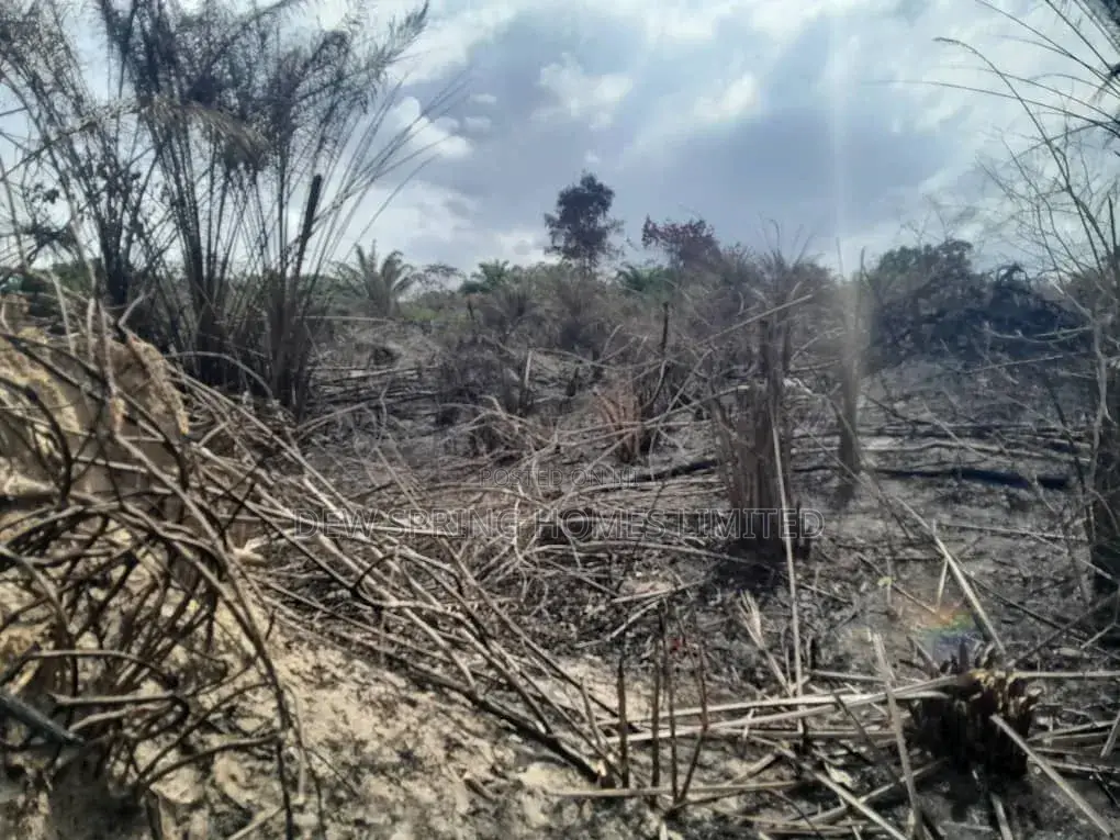 100% Dry Land St Eleko in Elerangbe