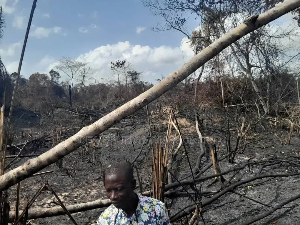 100% Dry Land St Eleko in Elerangbe
