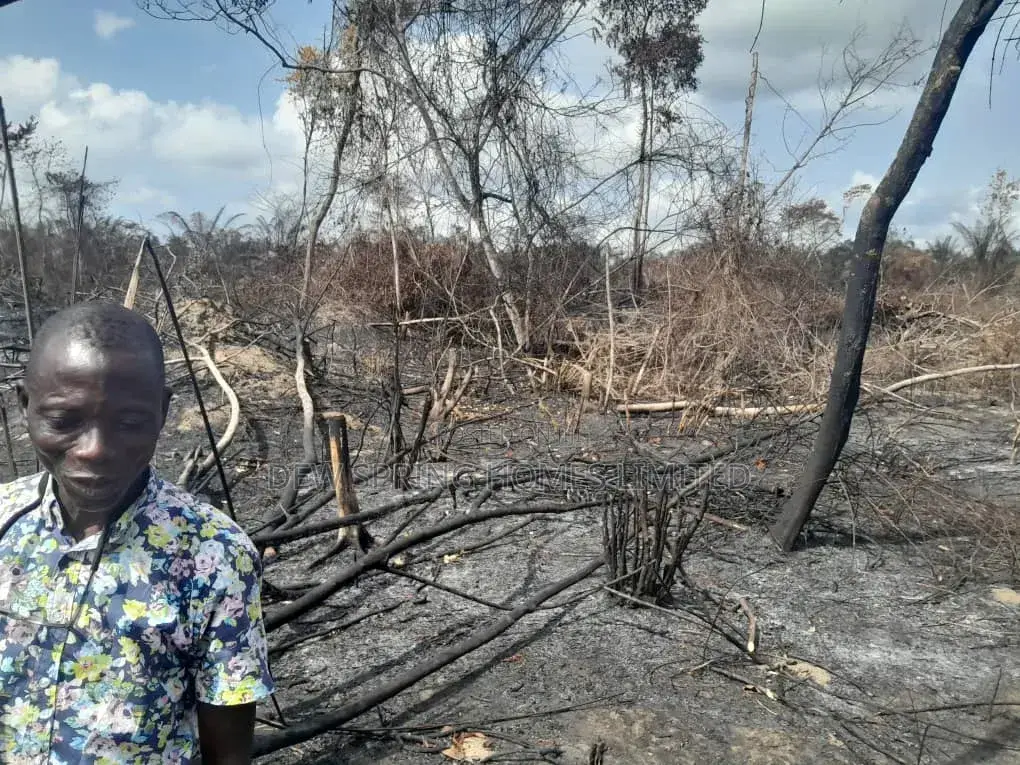 100% Dry Land St Eleko in Elerangbe