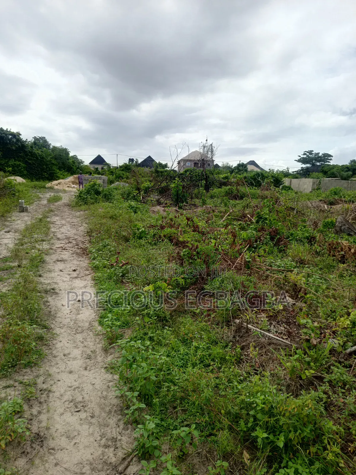 Plots of Land in a Well Developed Neighborhood in Ejigbo / Ejigbo