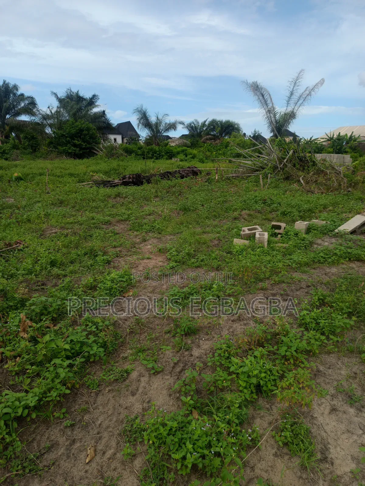 Plots of Land in a Well Developed Neighborhood in Ejigbo / Ejigbo