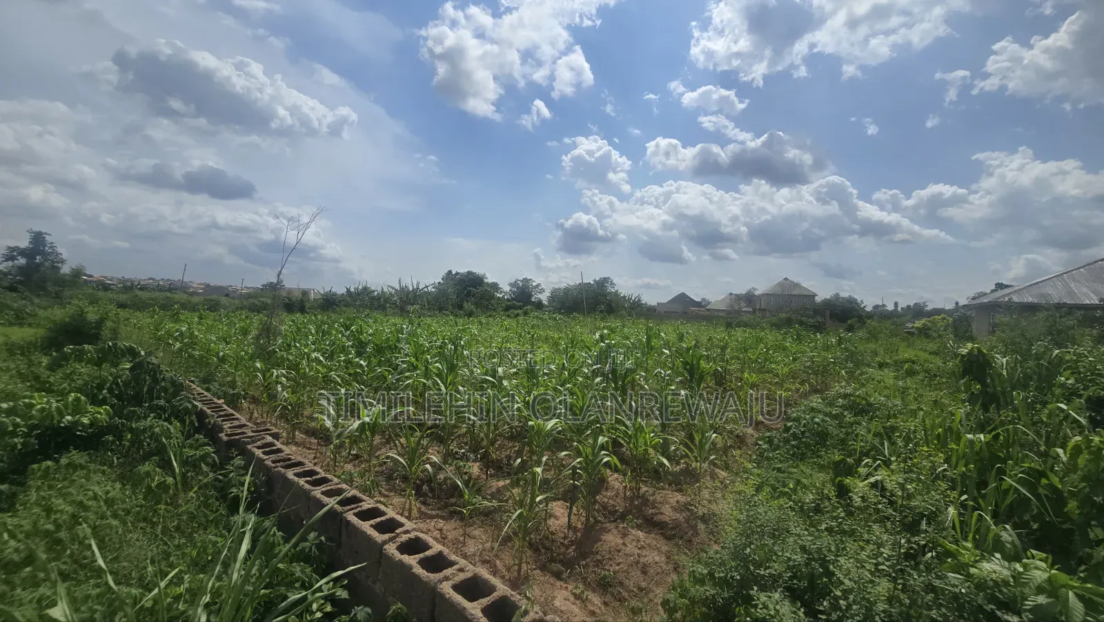 A Full Plot of Land in Akobo Ibadan. in Akobo