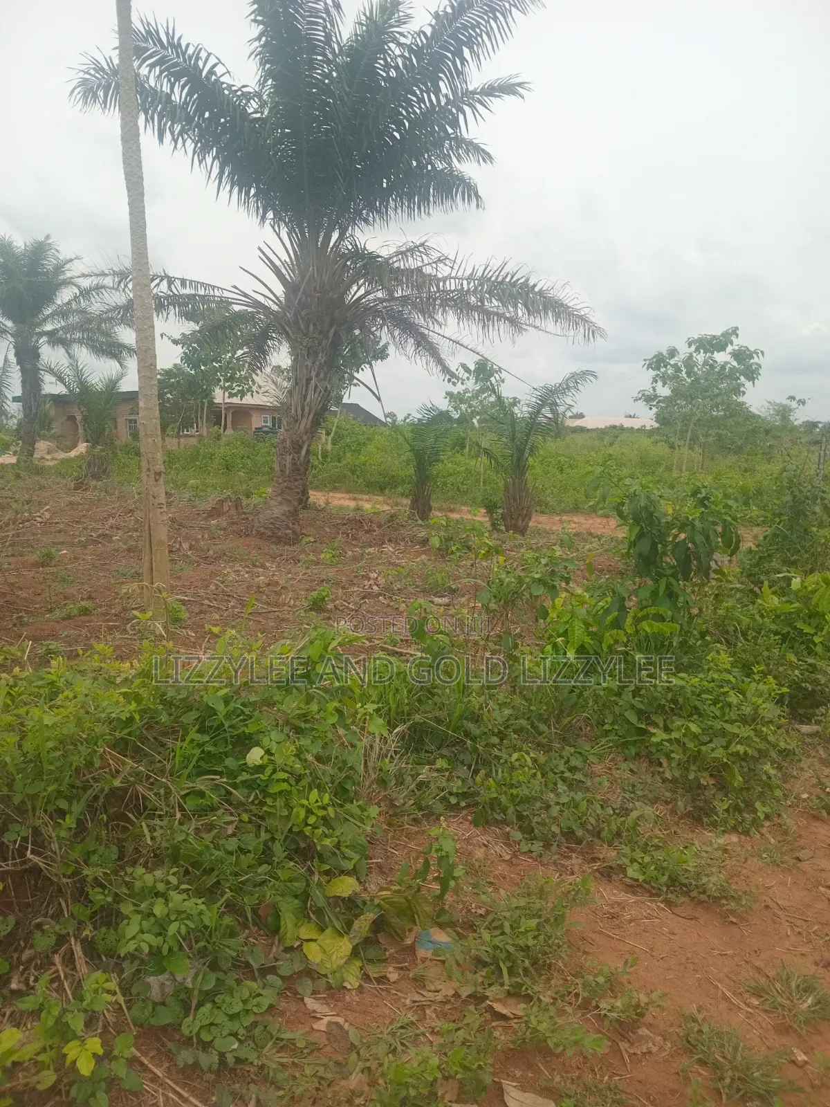 1000 Acres For Farmland For Sale At Igbedu Village, Obafe Owode Local in Obafemi-Owode