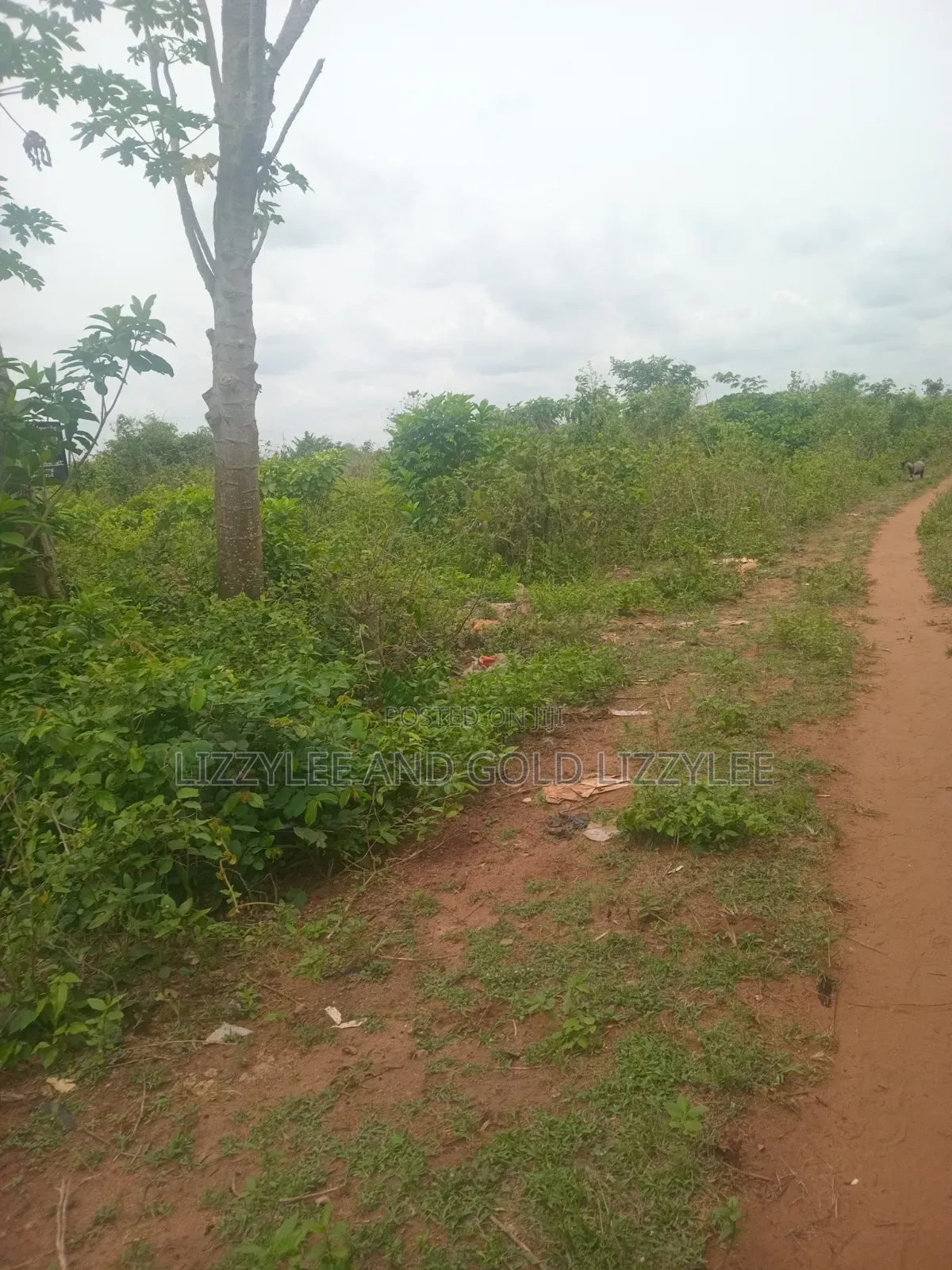 1000 Acres For Farmland For Sale At Igbedu Village, Obafe Owode Local in Obafemi-Owode