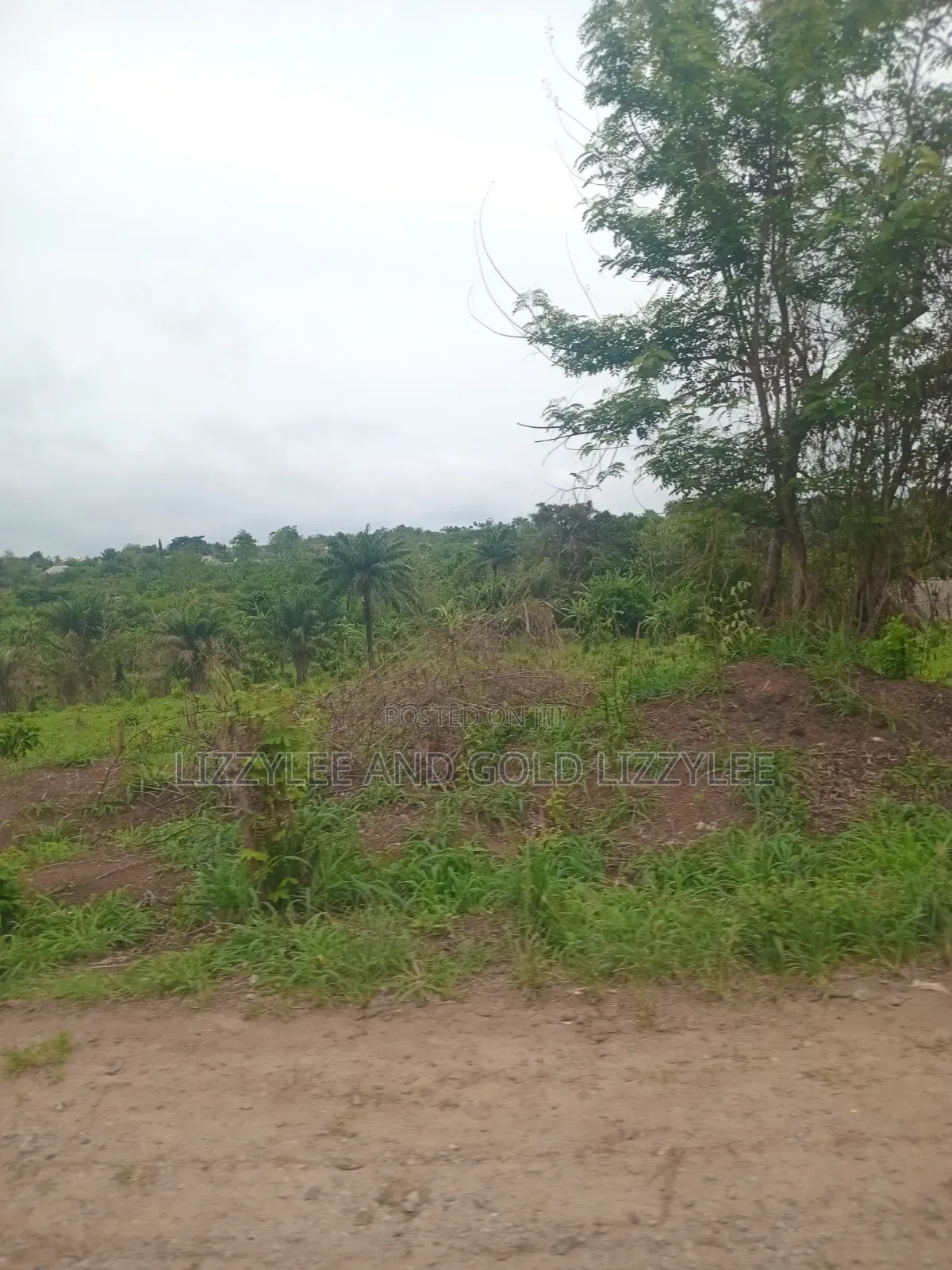 2000 Acres for Sale at Per Acre, Located at Imala Abeokuta North in Abeokuta North