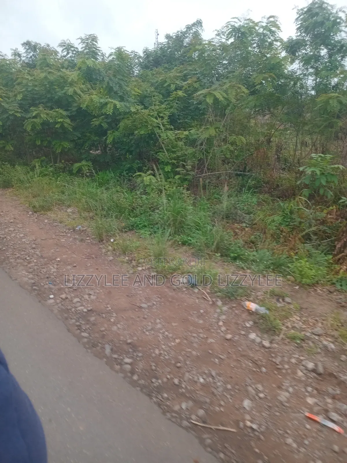 500 Acres of Farmland for Sale at Per Acre, at Onigbogbo in Abeokuta North