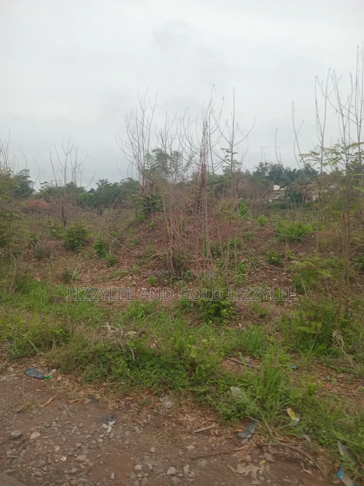 500 Acres of Farmland for Sale at Per Acre, at Onigbogbo in Abeokuta North
