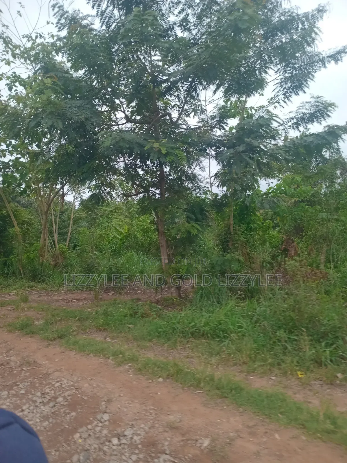 Farmland for Sale Located at Ayetoro Yewa North Lg, at Per Acre in Ayetoro