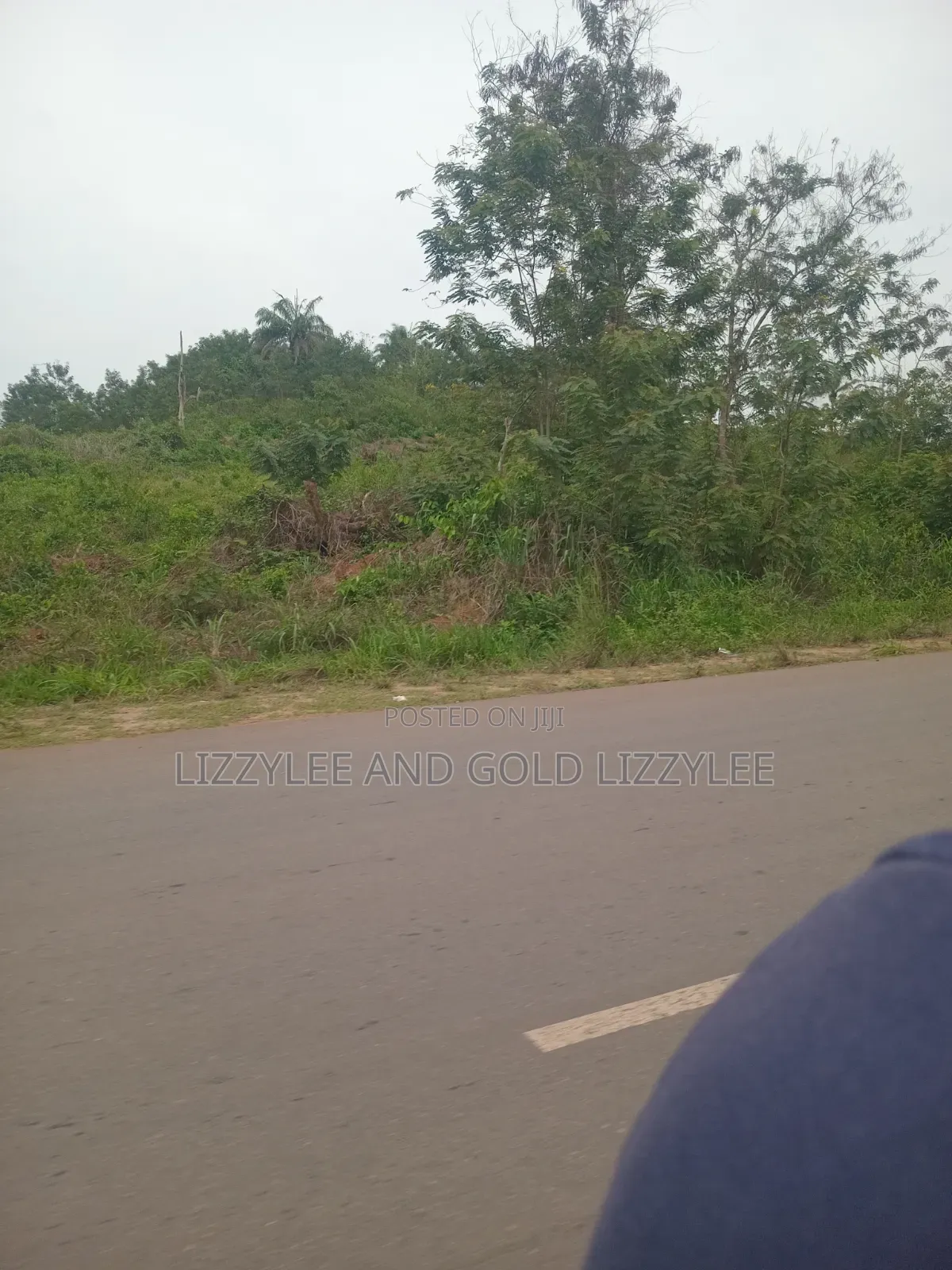 Farmland for Sale Located at Ayetoro Yewa North Lg, at Per Acre in Ayetoro