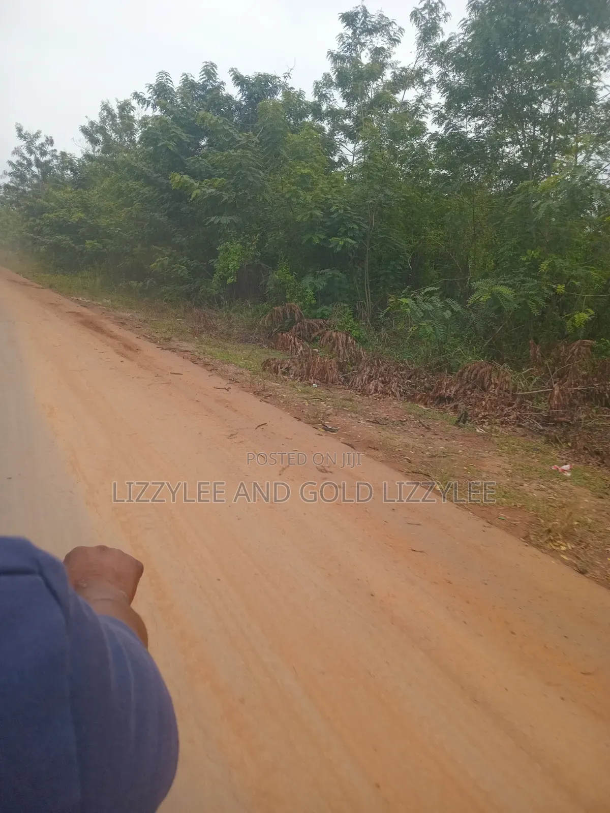 400 Acres of Farmland for Sale at Per Acre in Odeda