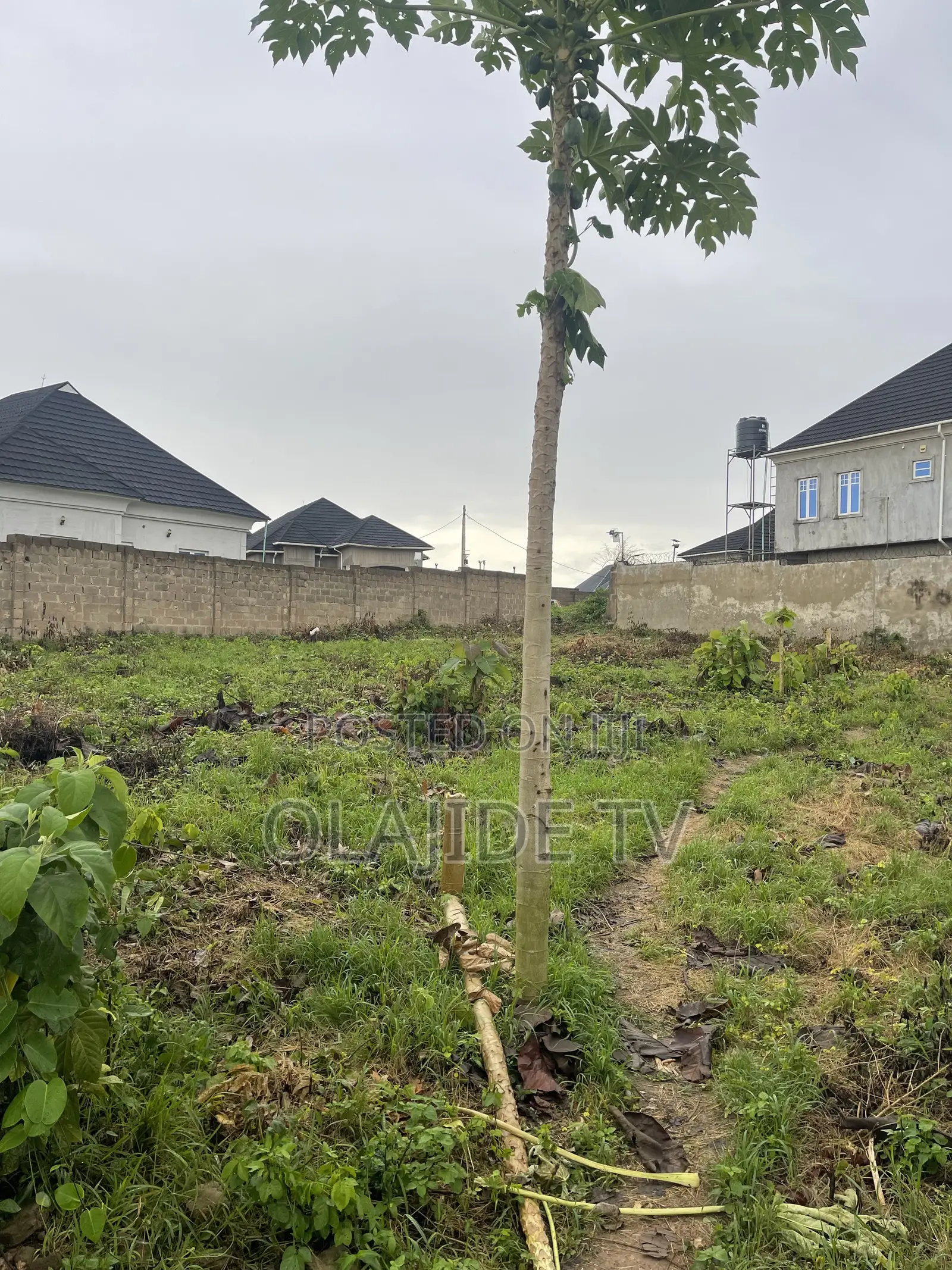 Plot of Land for Sale at Elewuro After Akobo Oju Irin Ibadan in Akobo