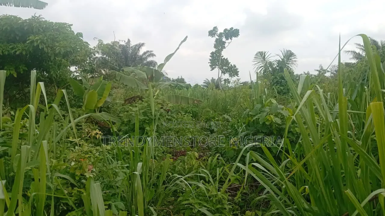 Distress Sale: A Plot of Land at Shimawa Behind Redeem Camp in Shimawa