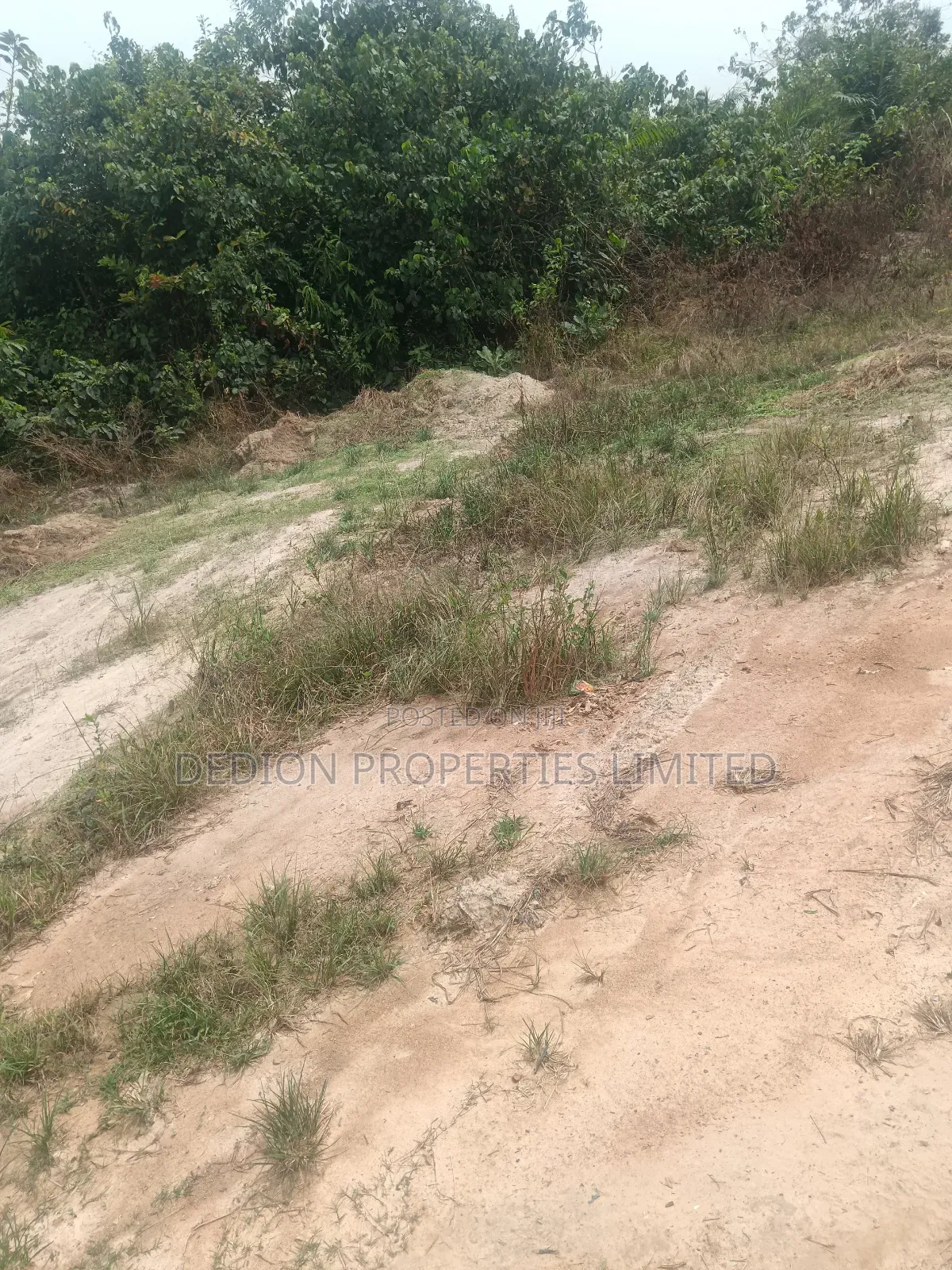 Isiwo Land With Registered Survey And Deed Of Assignment in Ijebu Ode