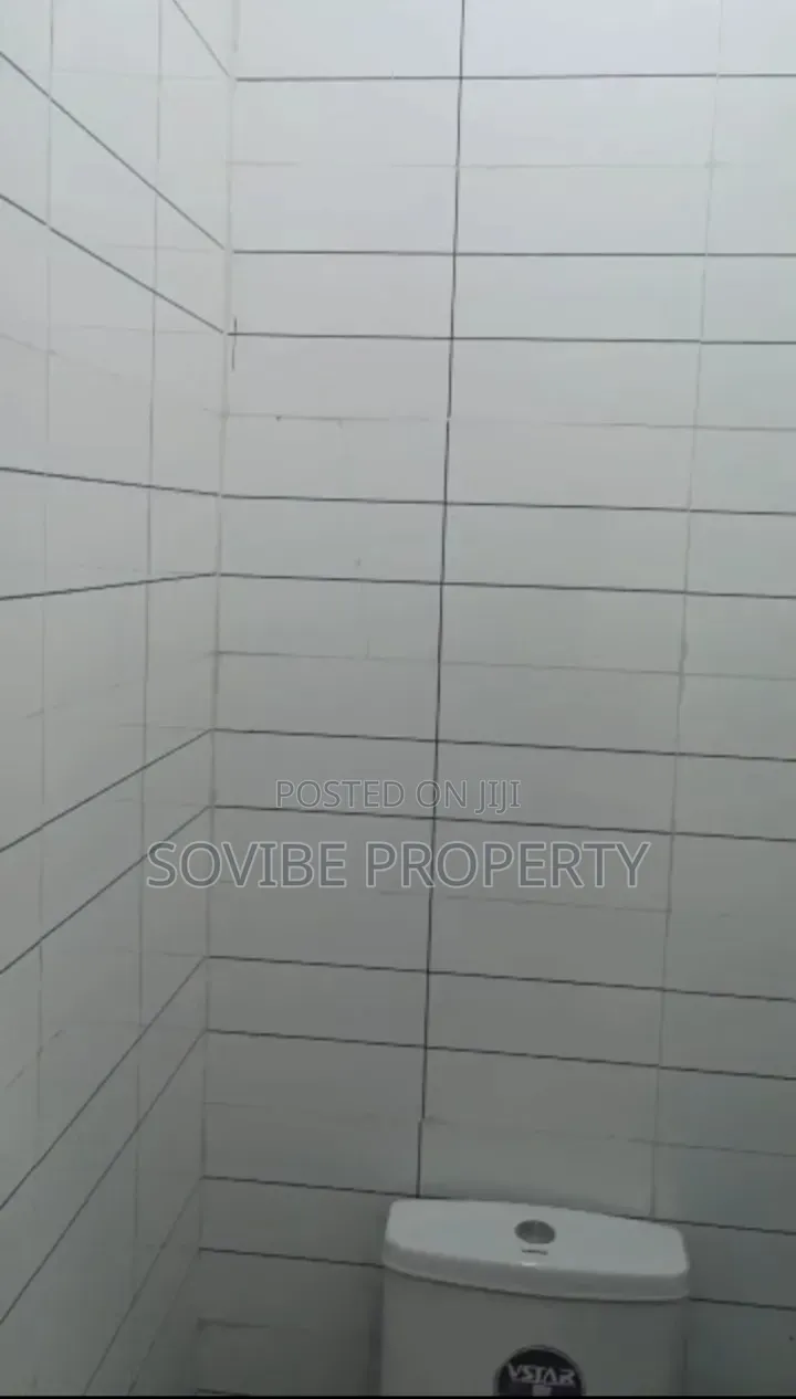 Furnished 2bdrm Block of Flats in Alapere for rent in Ketu-Alapere