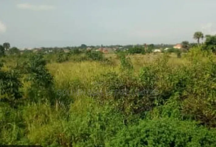 2 and Half Plots of Land in Ado Ekiti